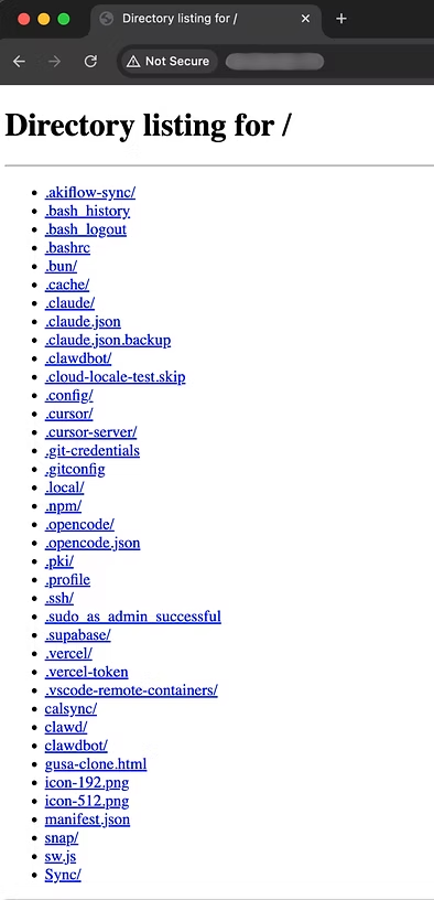 Example of Exposed Open Directory